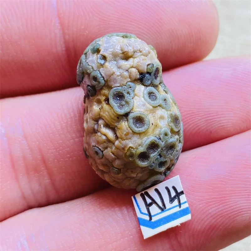 Gosses Bluff Agate  Of Ore The Chakras Energy Stone Natural Crystal Heal  Decoration