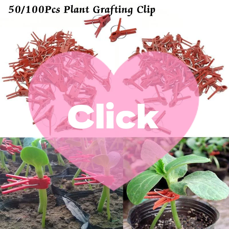 50/100Pcs Plant Grafting Clips Plastic Spring Support Clamp Reusable Fixing Clip For Vegetable Seedling Garden Cultivation