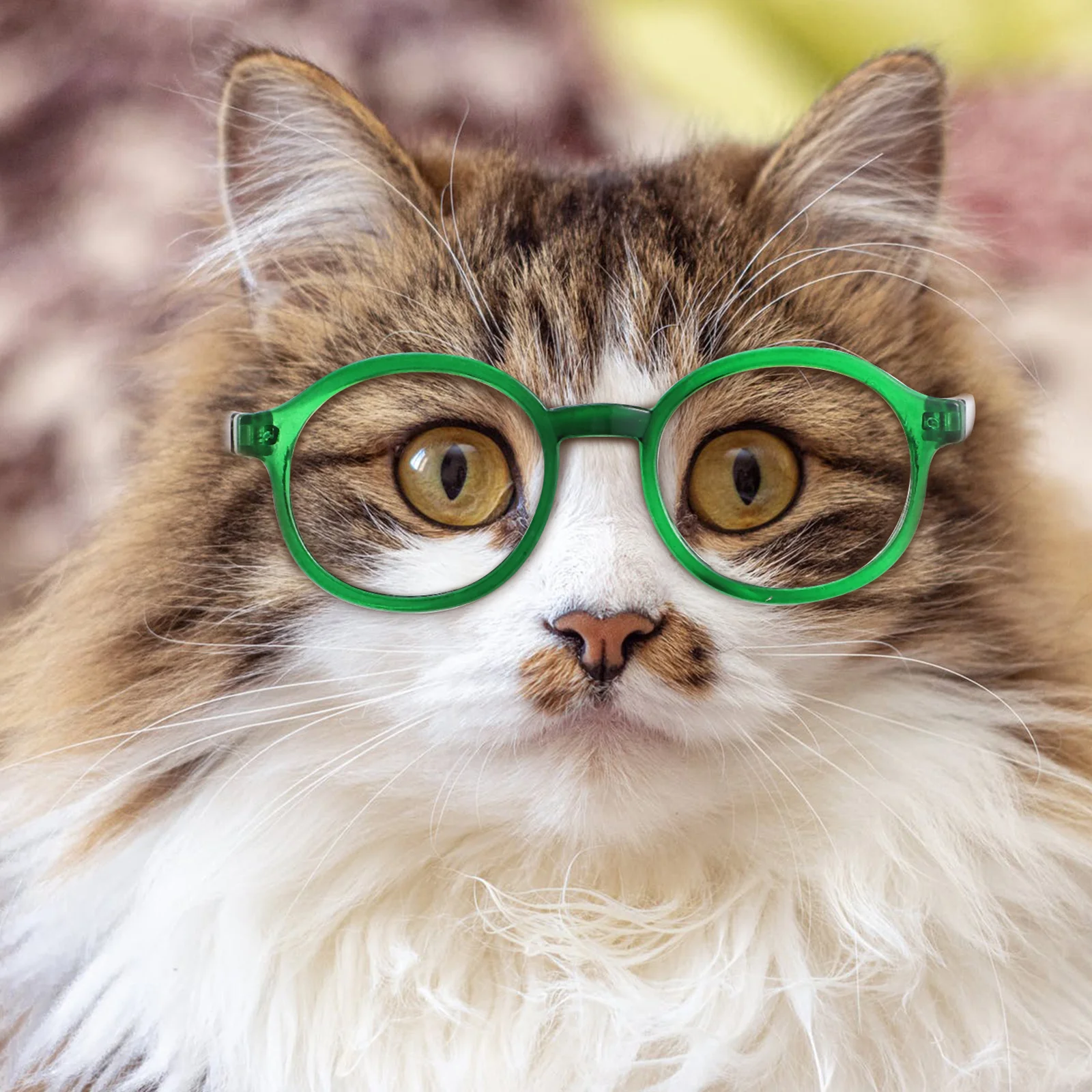 

4Pcs Plastic Transparent Cat Glasses Lightweight Durable Sunglasses Photo Props Cosplay Dog Goggles Birthday Party Wear