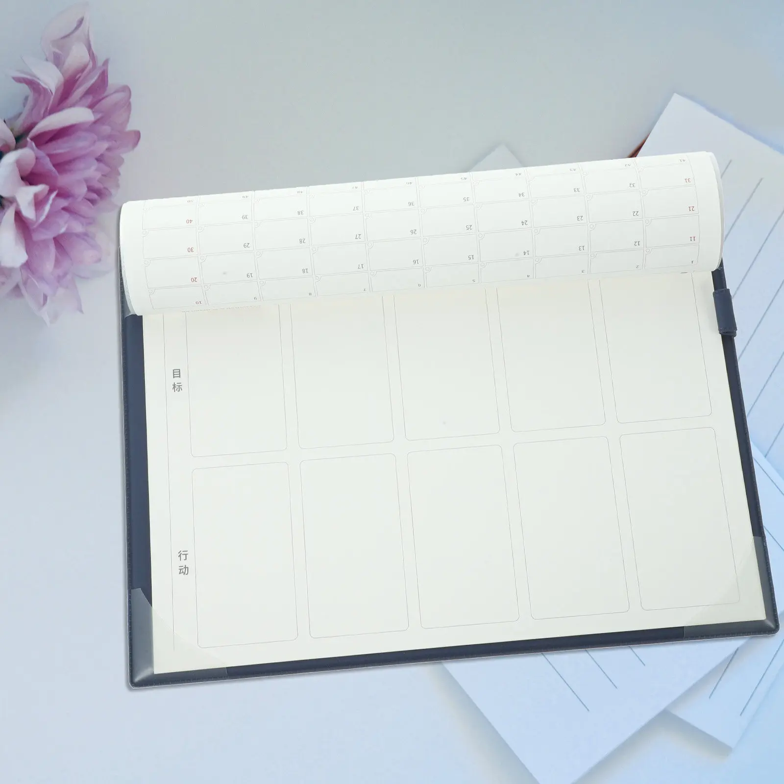 

Calendar for Wall Desk Daily Aesthetic Planner Delicate Monthly Calander Date Display