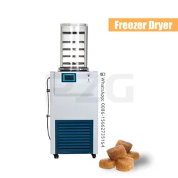 Vacuum Lyophilizer Freeze Dryer Pharmacy Freeze Drying Equipment Vertical Chemical Freezer Dryer For Lab