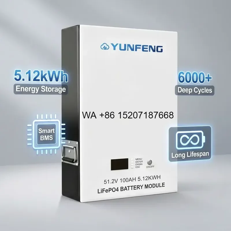 Wmwmnu for 6000 Cycles 5kwh 51.2v LiFePO4 Lithium Battery Home Energy Storage CE Certified CAN RS485 BMS Solar Backup Power