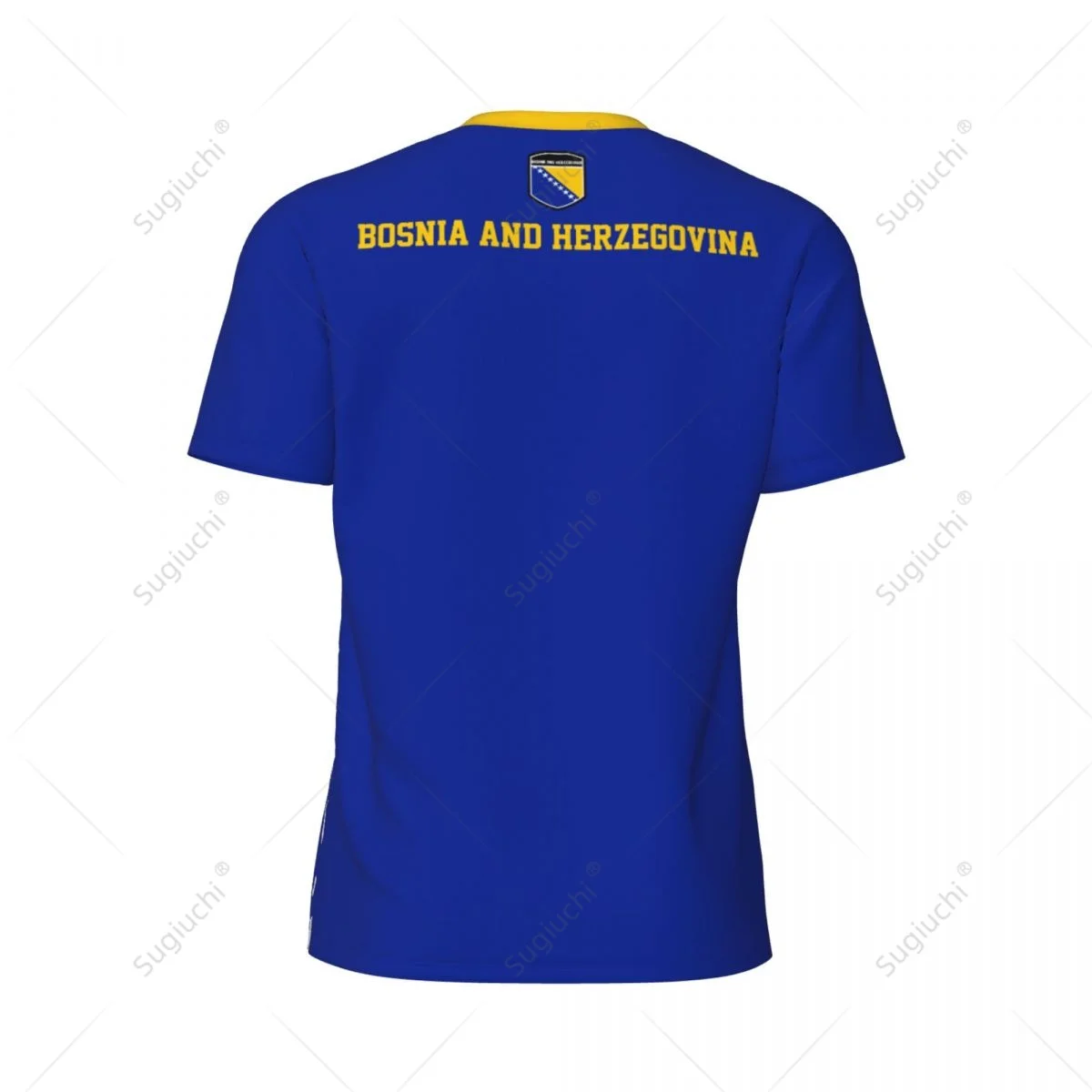 Exclusive design Bosnia And Herzegovina Flag Grain 3D Printed Men Running Bike Soccer Tennis Fitness Sports tshirt Mesh T-shirt