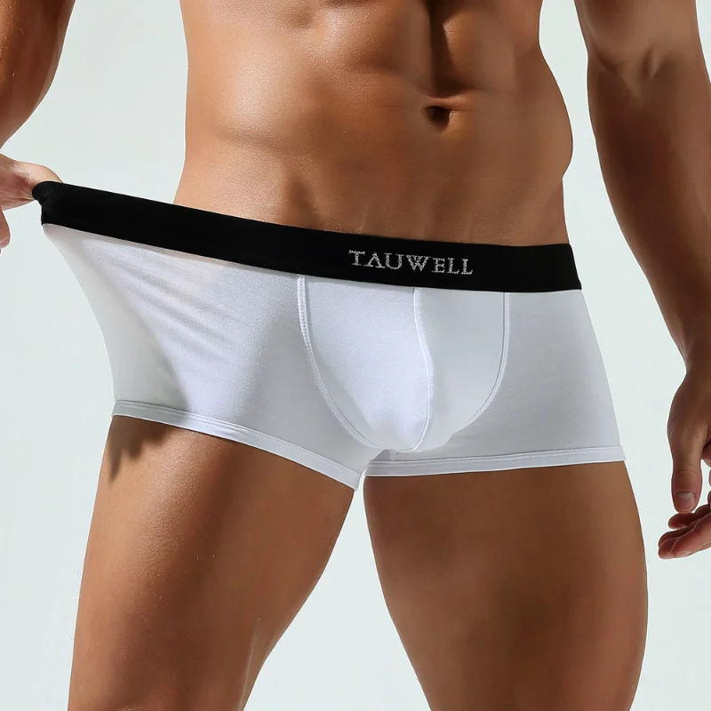 

Men's Boxers Bulge Pouch Boxer Autumn New Underwear Lingerie Low Waist Youth Boxers High Elastic Jockstrap Bikini Slip Homme