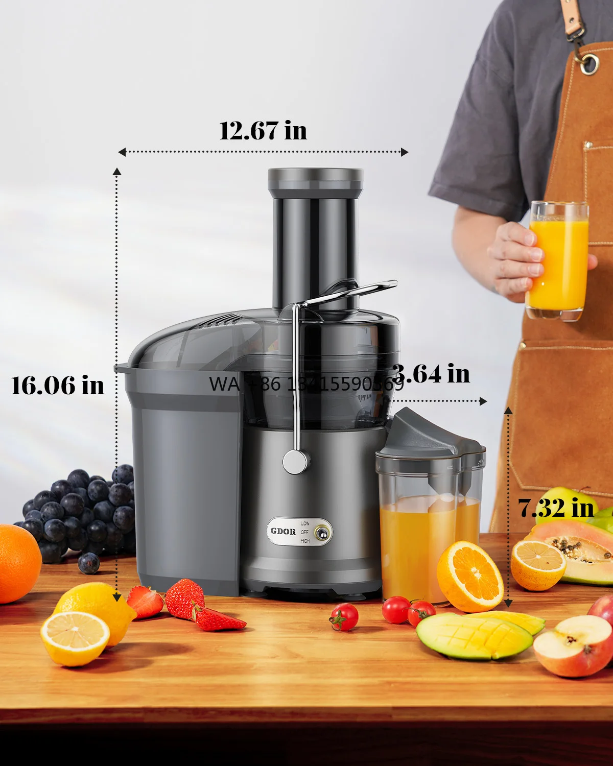 

Dual Speeds GDOR 1200W Juicer Machines Full Copper Motor 3.2 Inch Feed Chute Centrifugal Juice Extractor Maker