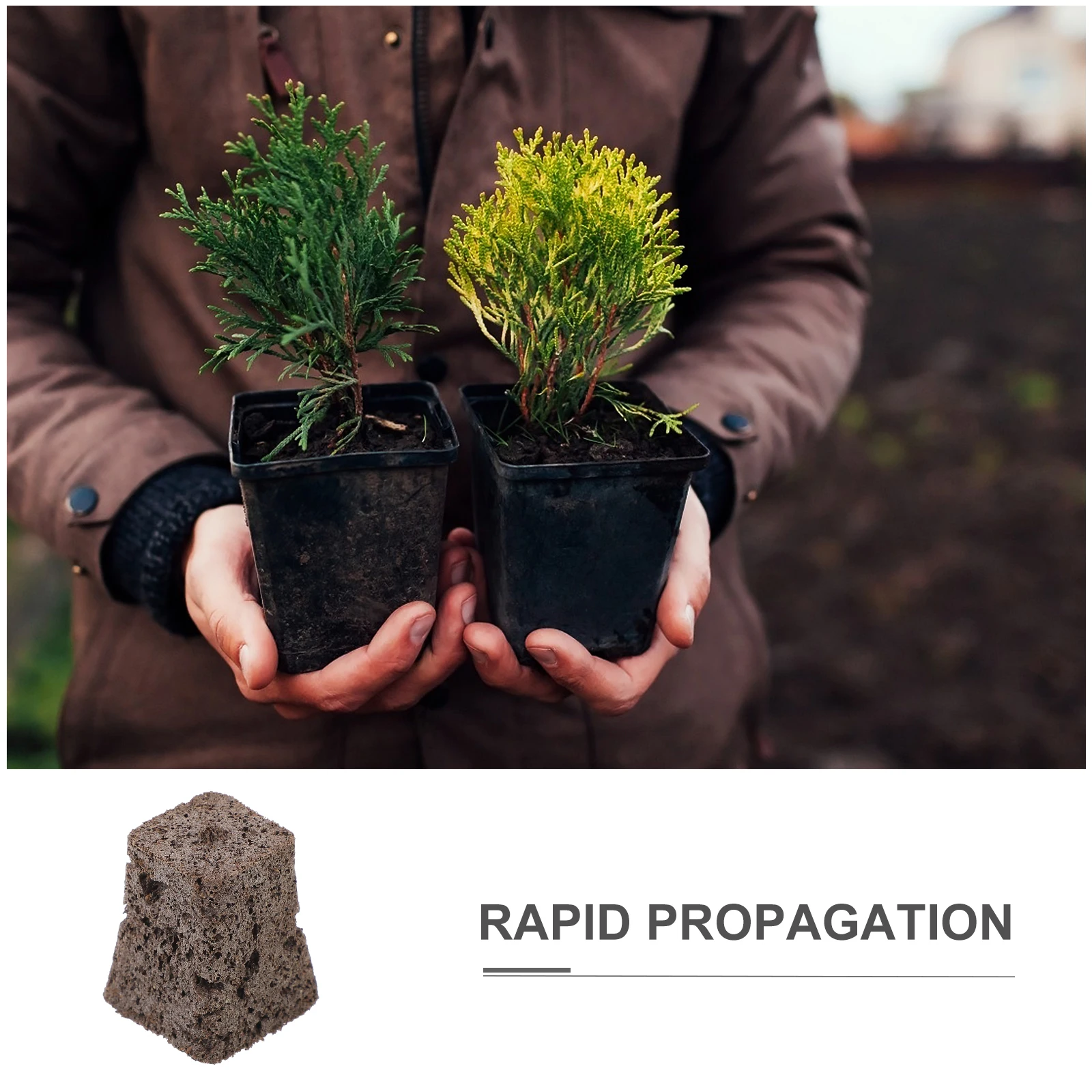 

Compressed Peat Bio charcoal Soil Blocks Gardening Supplies Seedling Plugs able Nutrient Potting Soil Plant Starter
