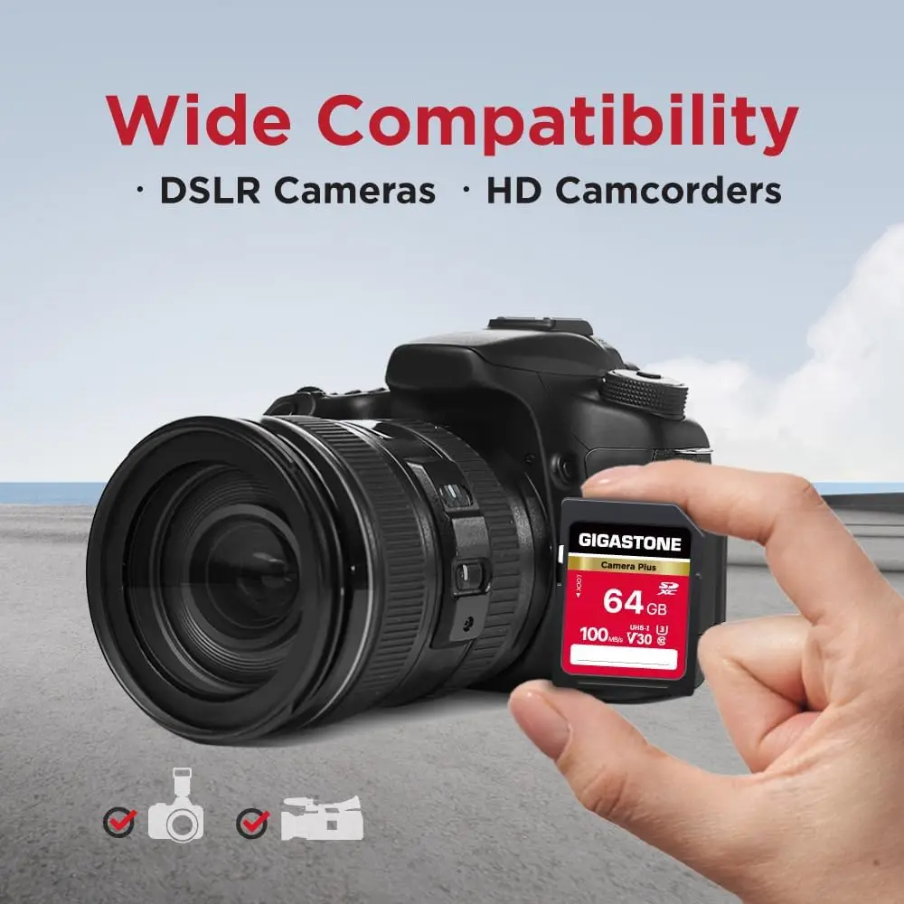 64GB SD Card 2-Pack, UHS-I U3 Class 10 SDXC Memory Card, Full HD Video, with 2 Mini Cases