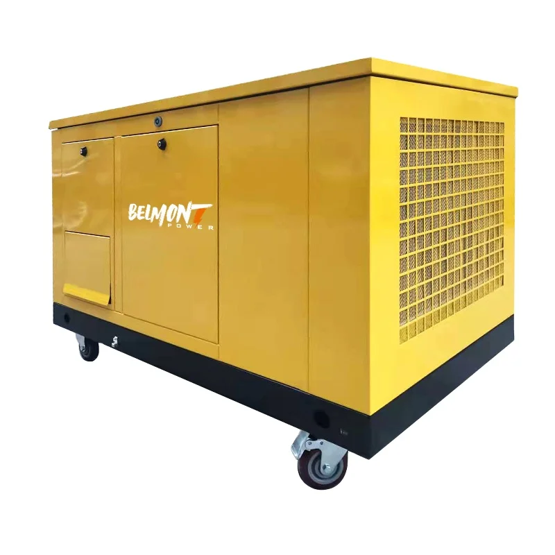 230v 400v 15kw 17.5kv 19Kva 20kva 16kw 25kva 36kva 20kw 22kw Natural Gas Generator