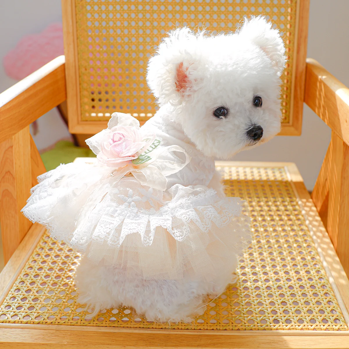 1PC Pet Clothing Cat Spring/Summer Thin White Retro Flower Dress Princess Wedding Dress Suitable for Small and Medium Dogs