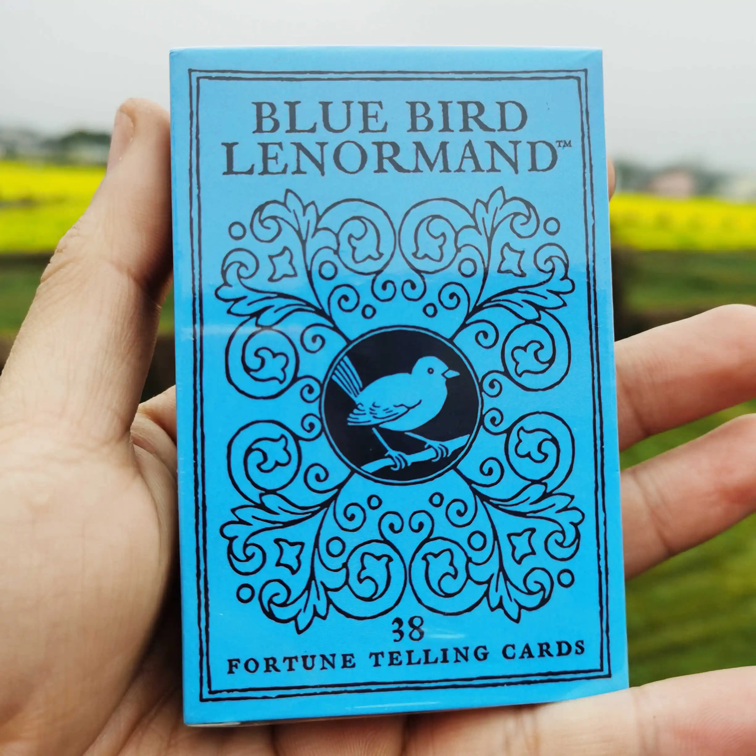 bluebird-r-man-38-cartas-de-jogo-de-tabuleiro-novas-e-bonitas-adequadas-para-iniciantes-com-tematica-animal-tipo-poker