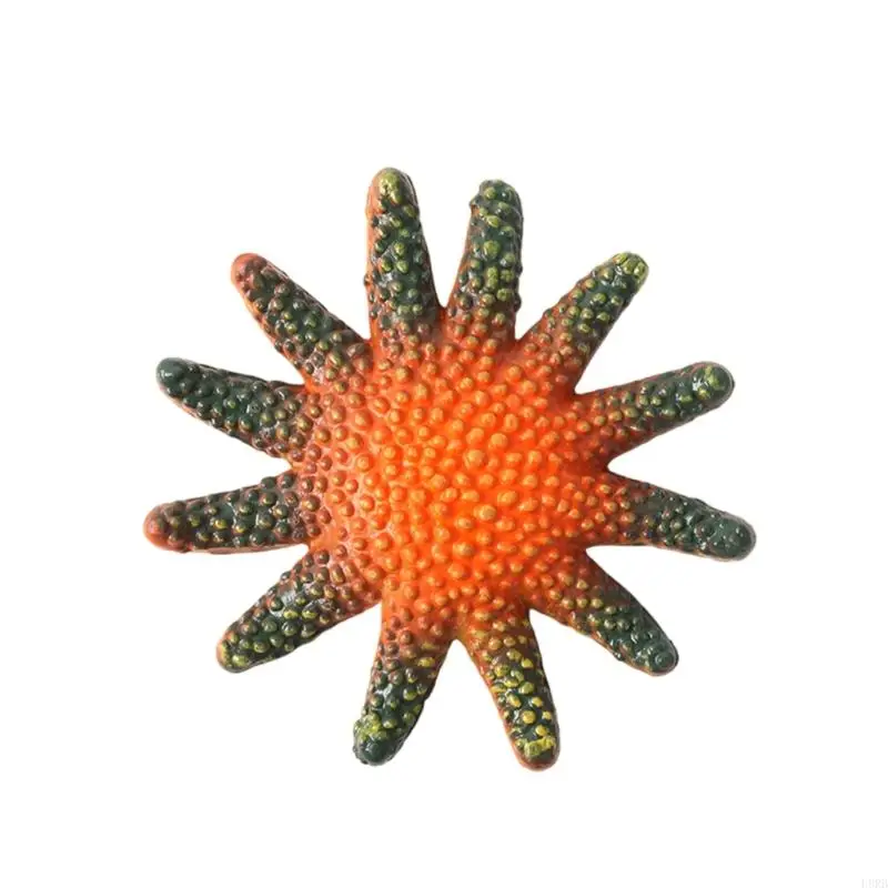 8 -stcs Ocean Animal Dive Toy Star Fish Figurine Set voor onderwaterspel Party Educatieve tool Beach Play Activity Toy L8RB