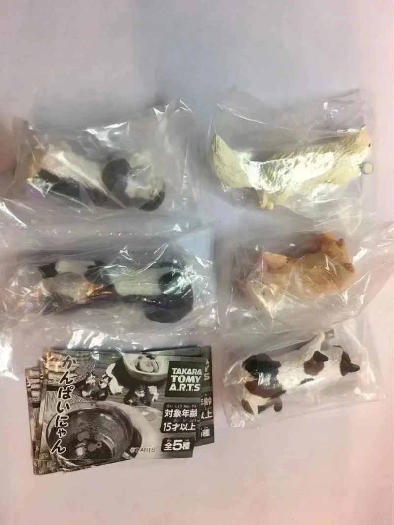 Gashapon Cápsula Brinquedos para Crianças, Japão Figura Anime, Bonito Beber Enfeites de Gato, Estatueta Kawaii Gacha, Presente Original