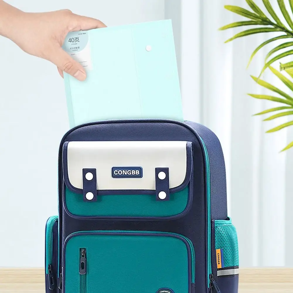 

New A3 Test Paper Folder Transparent Insert Students Paper Storage Booklet Exam Folder Folded Folders