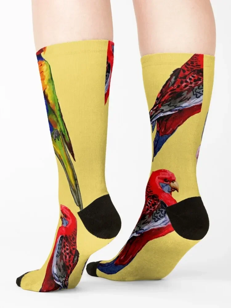 Australian Birds watercolour Socks christmas gifts Run cotton Soccer Socks Men's Women's