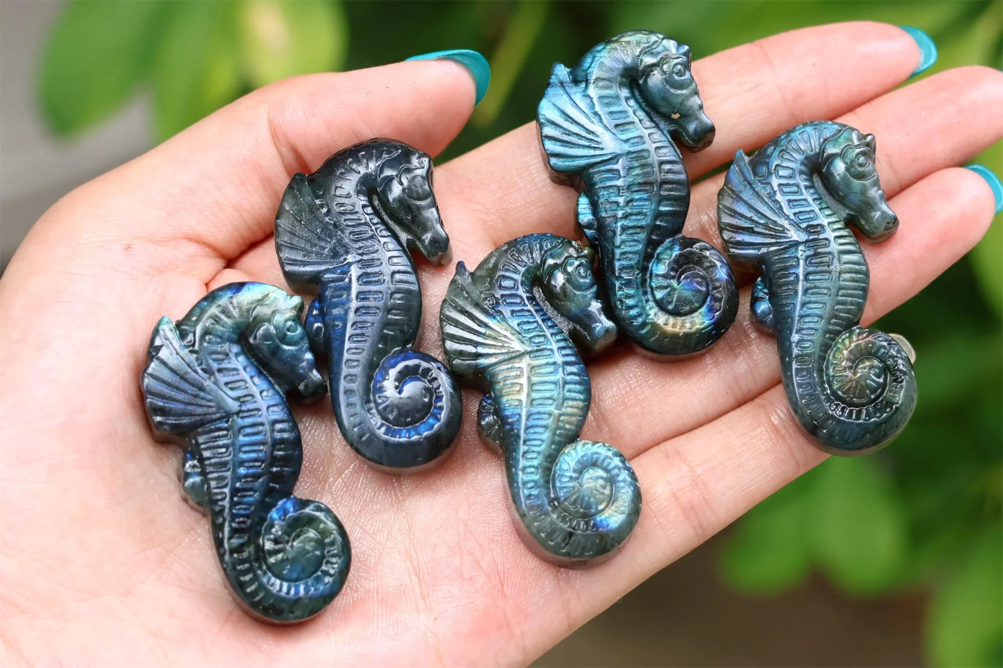 Natural labradorite seahorse ,Quartz Crystal Carved ,Crystal Heal Reiki,Home decoration,Crystal Sculpture,Mineral,Crystal Gifts