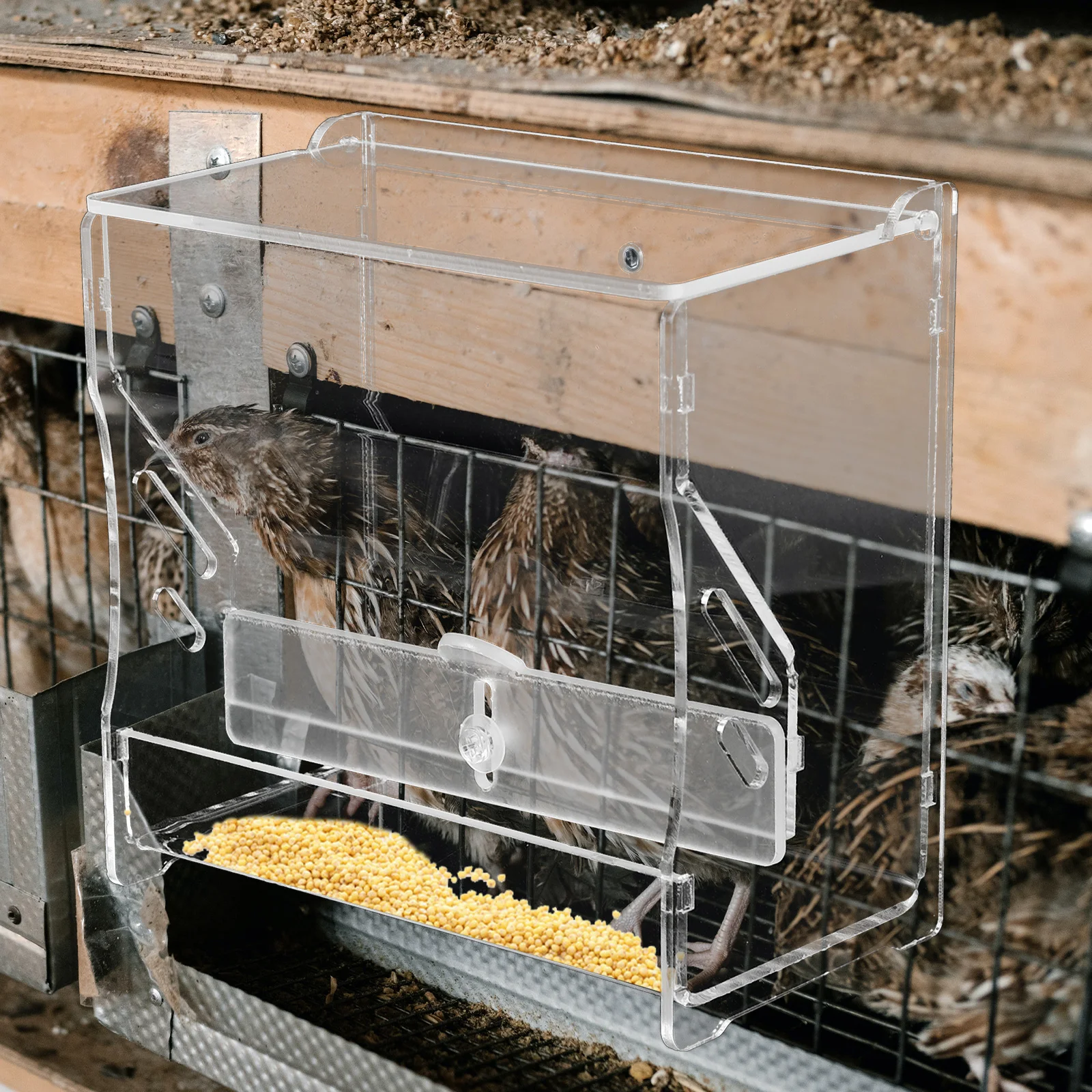 

Automatic Chicken Feeder Clear Acrylic Food Container Durable Cage Hanging Pet Supplies Practical Parrot Use Long Life Easy