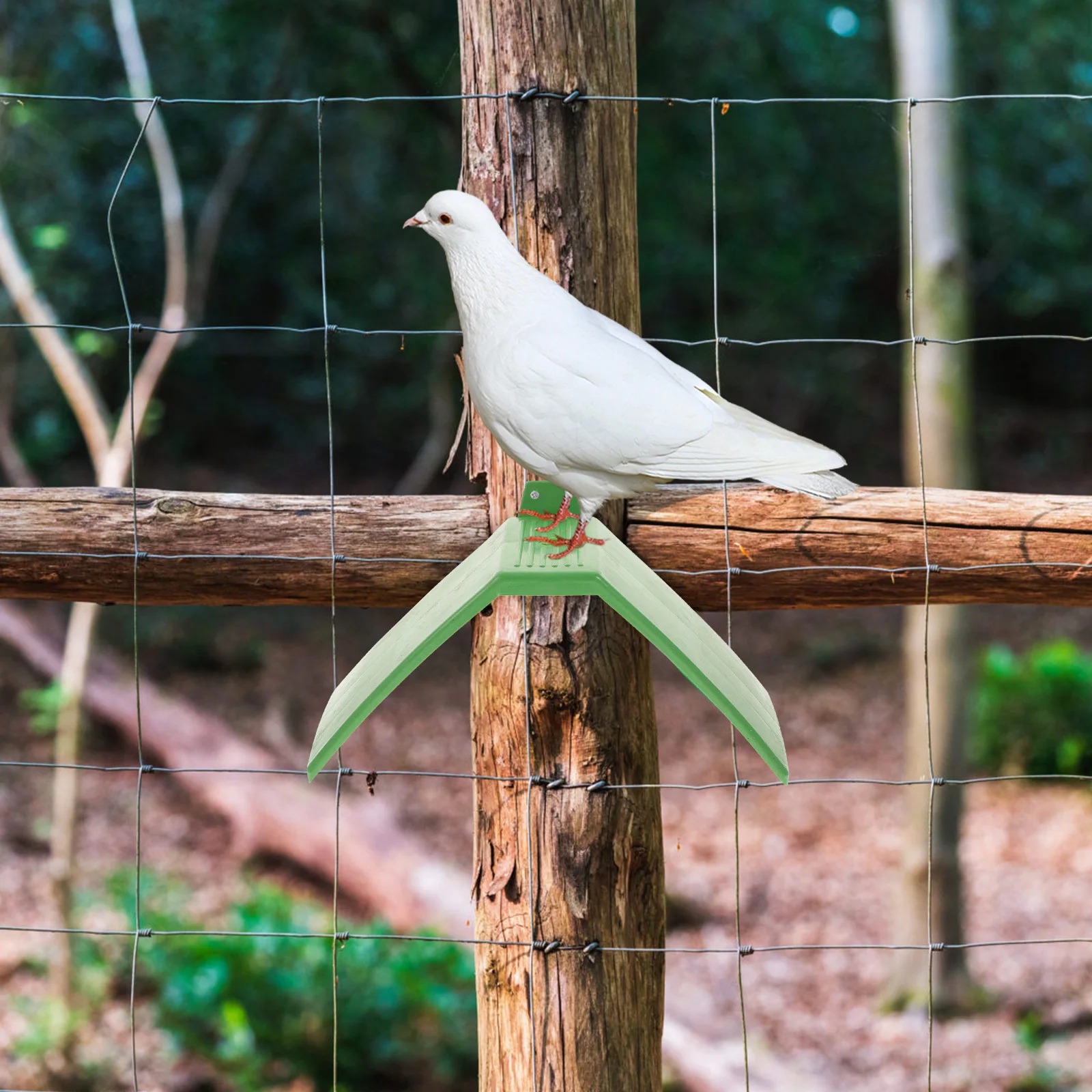 

10Pcs Pigeon Perch Stand Plastic Rest Frame Lightweight Durable Bird Accessories Plastic Pigeon Perch Perches for Dove