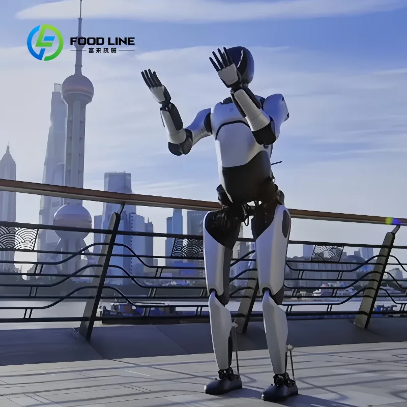 Customized Programmable Humanoid Robot with Open Development Platform for AI Research and Educational Use