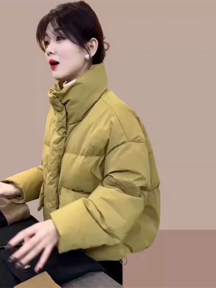 

Женское зимнее пальто Sli ort Bread Sle Jaet с воротником-стойкой, хлопковое, универсальное, весна 2024, модная корейская версия