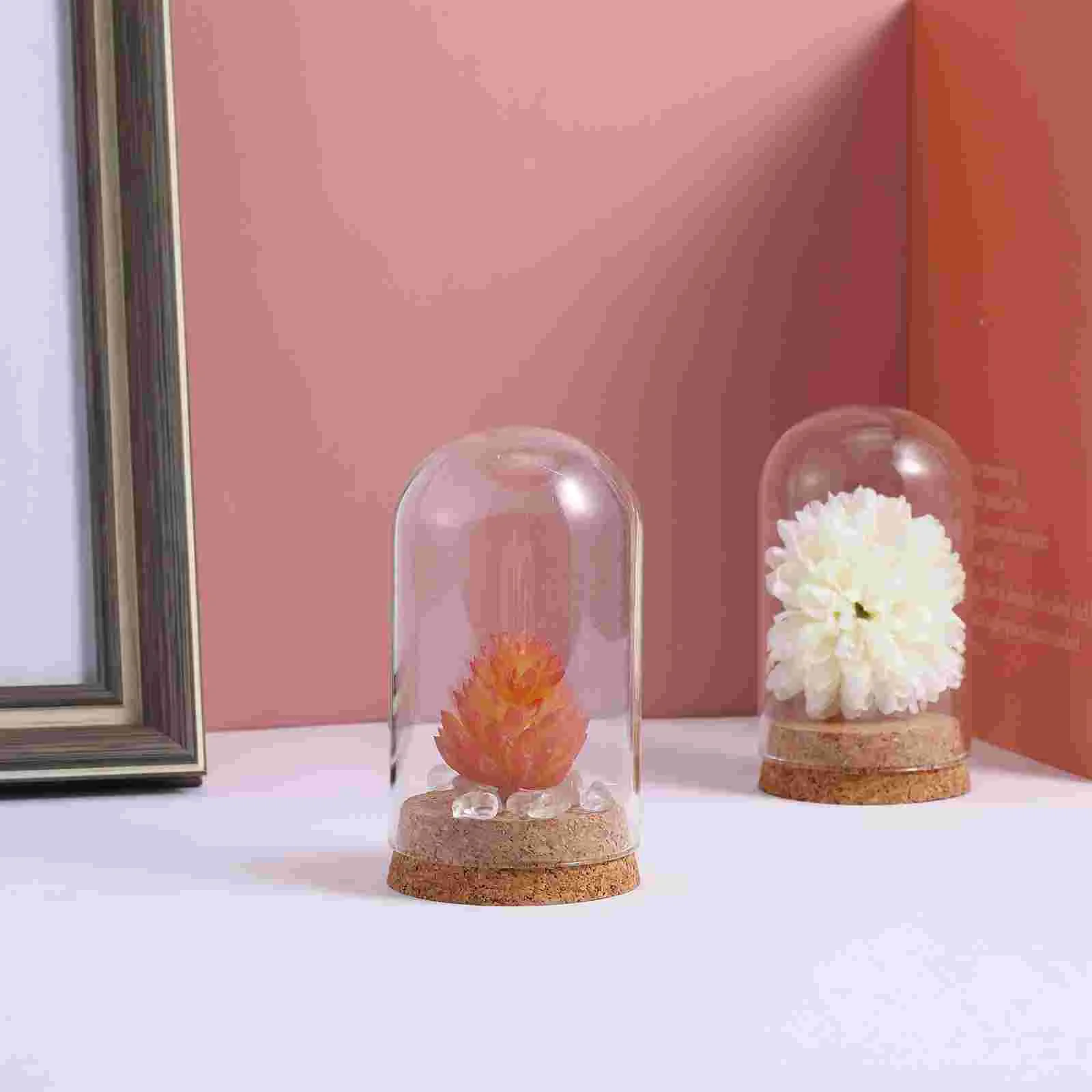 5 Pcs Dome Cork Glass Cover Lanterns Micro Landscape Decorate Immortal Flower Plant