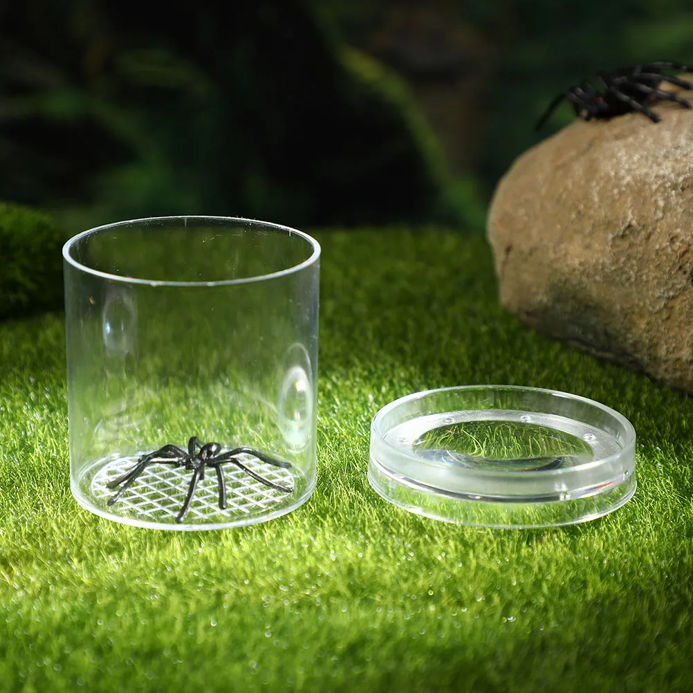

10Pcs Insect Viewing Container Bug Catcher Viewer Insect Breeding Box Critter Observation Kit For Kids Learning