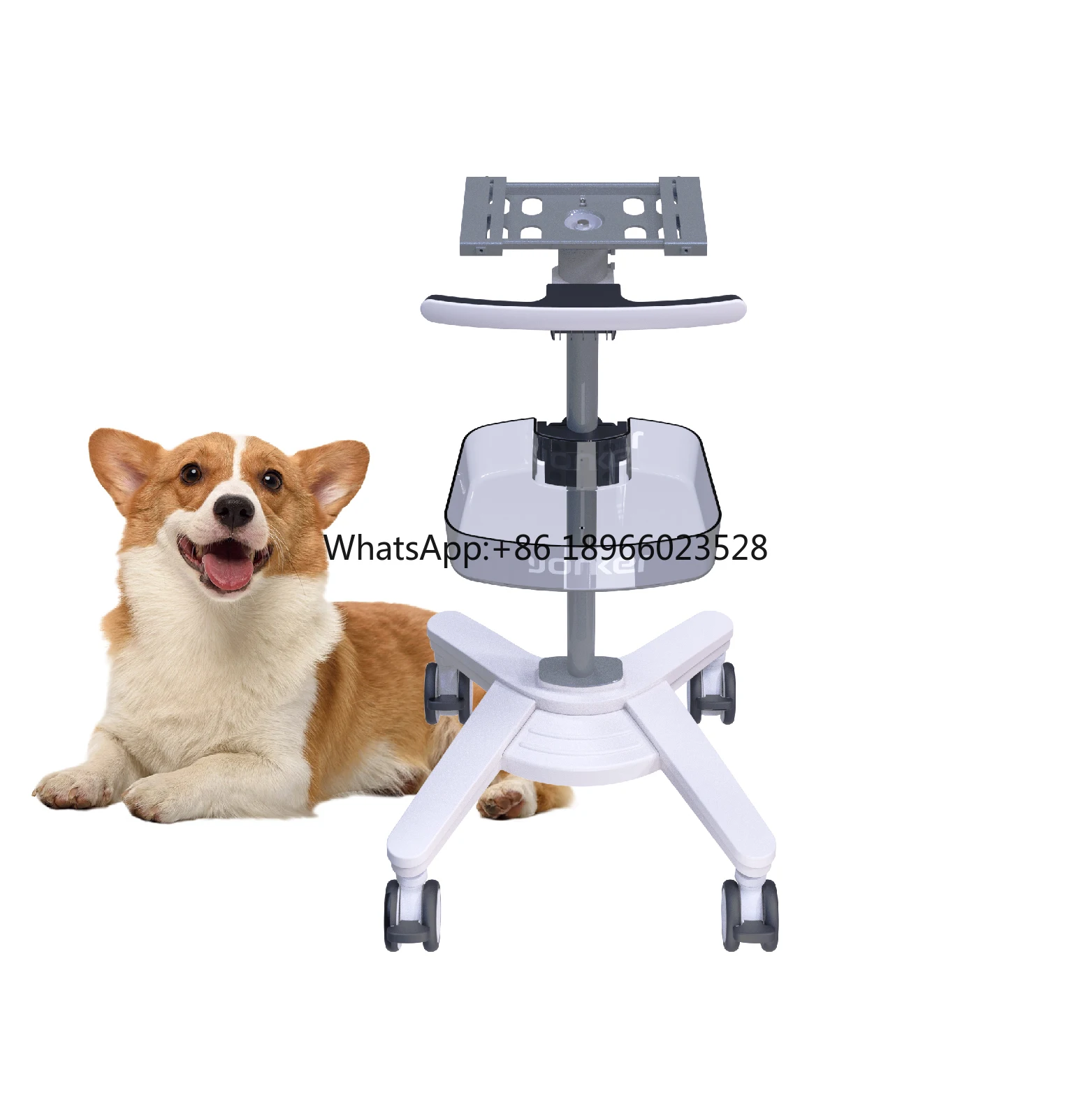 

High Quality Abs Emergency Treatment Mobile Roll Monitor Stand Ecg Laptop Medical Trolley Monitor Cart