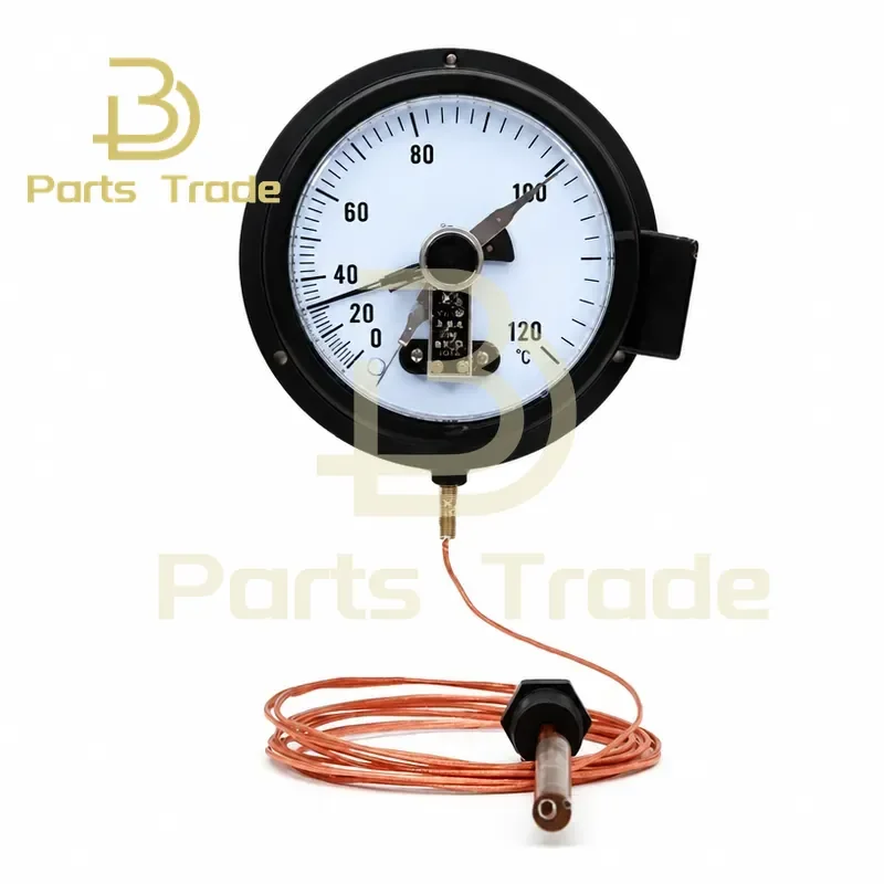 Industrial Grade WTZ-288 Electrical Contact Pressure Thermometer for Transformer Temperature and Pressure Gauge