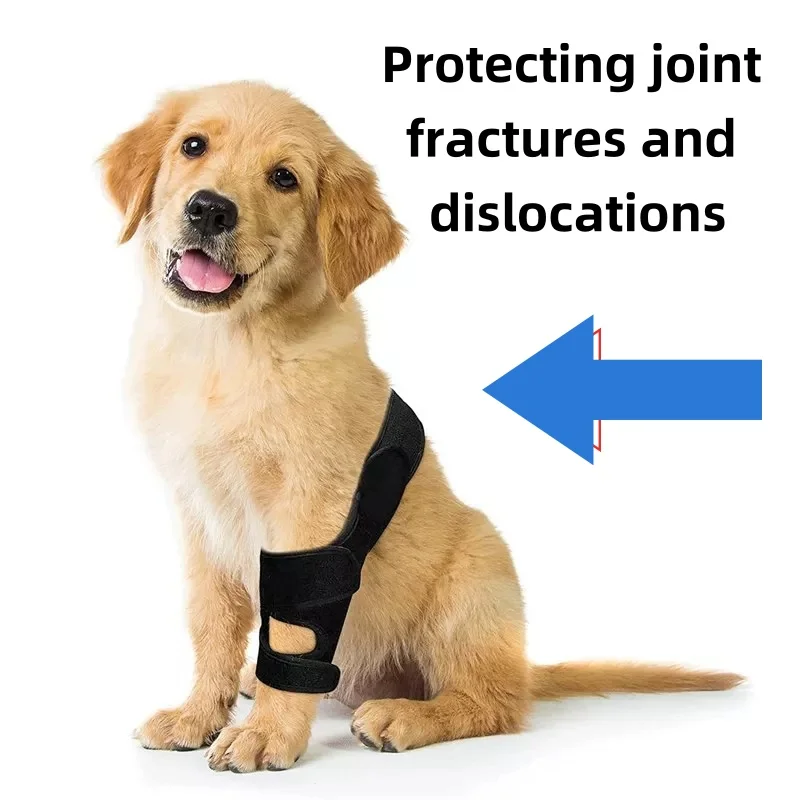 

Pet Supplies Dog Leg joint Knee ACL Ligament Tear Protection Rehabilitation Belt Joint Dislocation Bracket