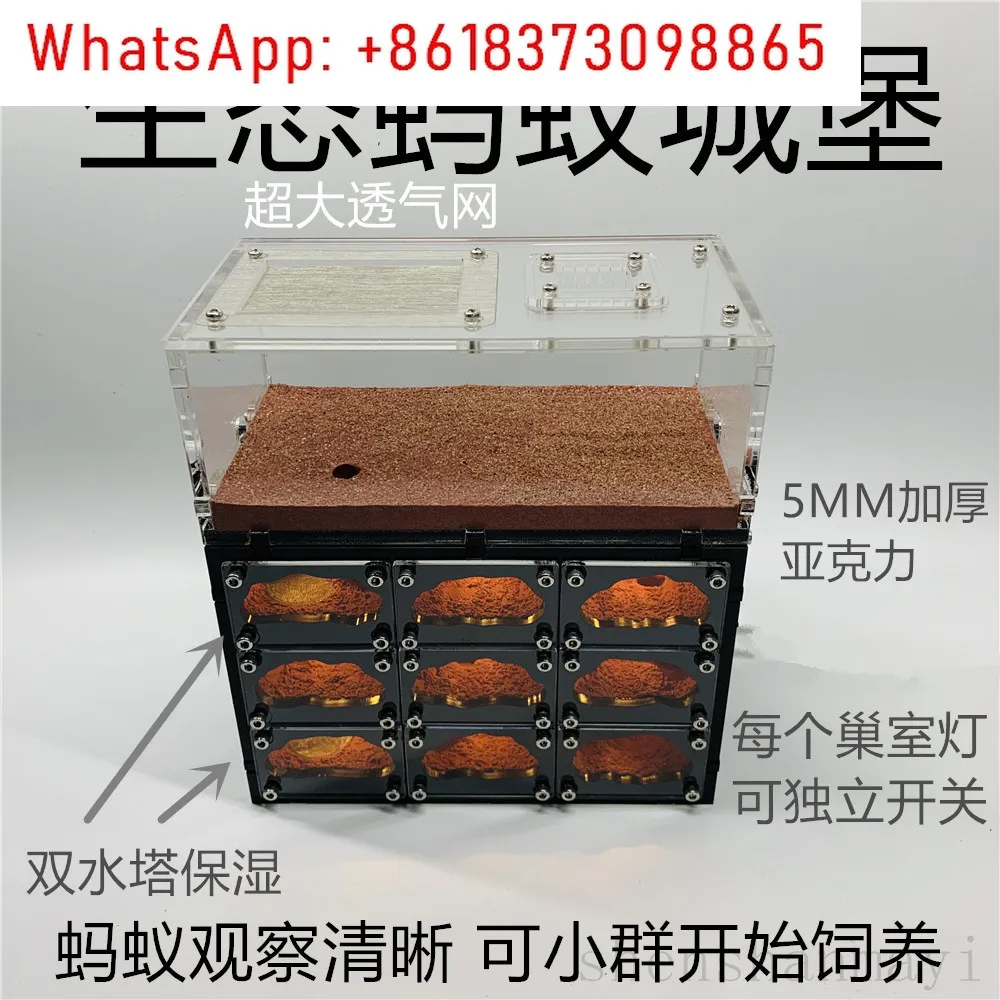 Pet ant workshop Cage breeding Live ant nest Acrylic sand nest Home Villa Palace