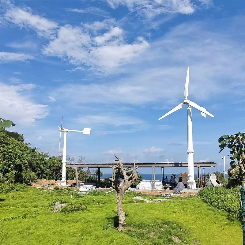 مبيعات المصنع مباشرة بقدرة 10 كيلو وات، توربينات رياح صامتة وفعالة عالية الجودة #4