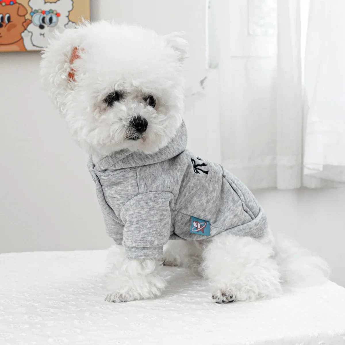 1PC Pet Clothing Spring and Autumn Velvet Grey Hat Bow Pocket Coat Suitable for Small and Medium sized Dogs