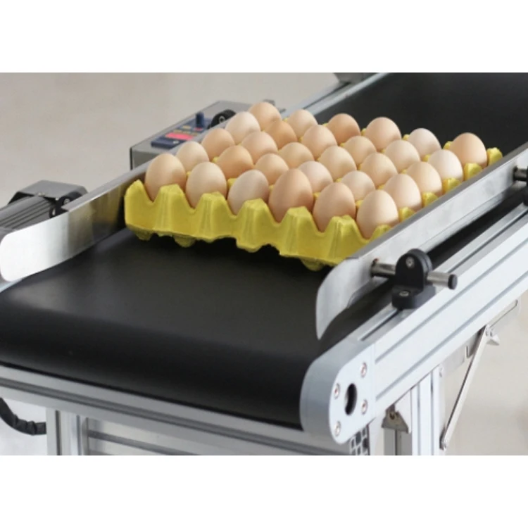 High-Speed 6 Print Head Egg Inkjet Coding Machine Conveyor New Condition Automatic Grade 600dpi For Flex Competitive Price