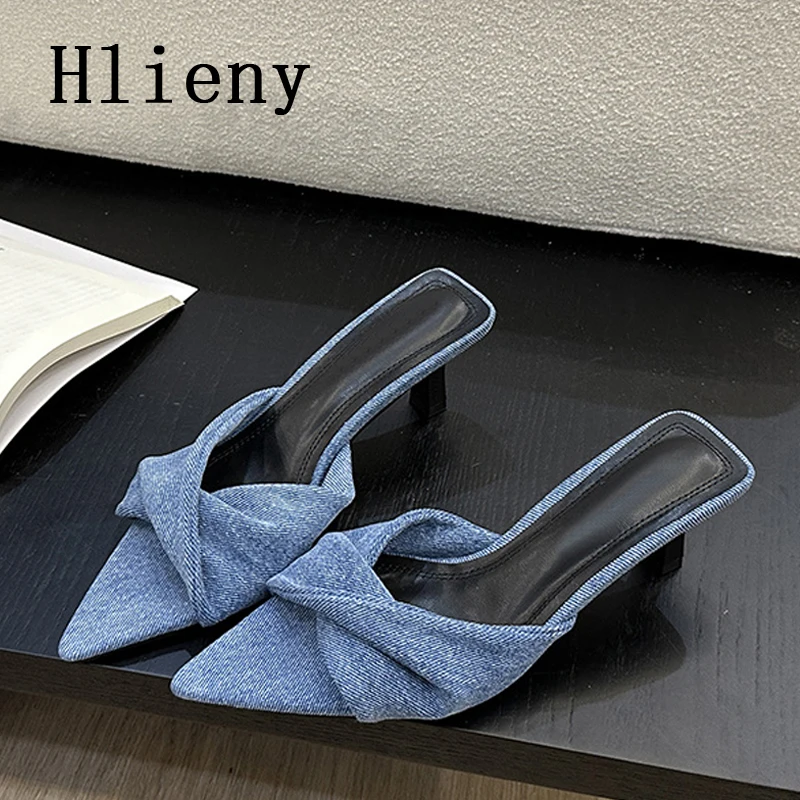 Hlieny Fashion Pointed Toe Denim Mule Slippers Woman Brand Design Kitten Heel Sandals Ladies Elegant Shallow Dress Slide Shoes