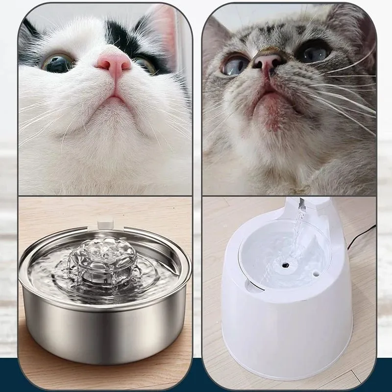 Petwant Custom Stainless Steel Automatic Cat Dog Drinking Fountain Indoor 2L Pet Water Dispenser for Cats and Dogs