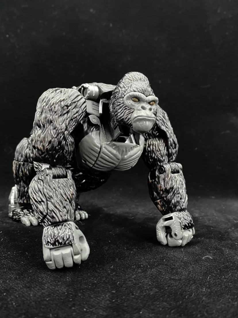 Figurine d'action Transmetal Gorilla KO, Beast VAN, Version agrandie, BW Op Commander, Jouets de transformation, TB-01