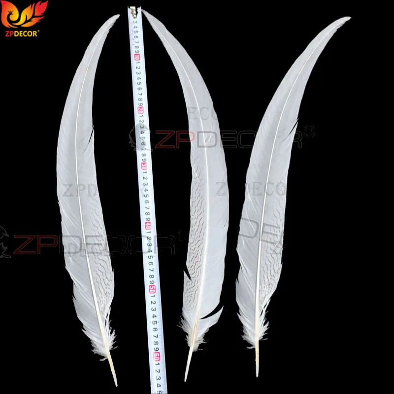 60-65 CM 24-26 Inch Silver Pheasant Tail Feathers Color can be custom