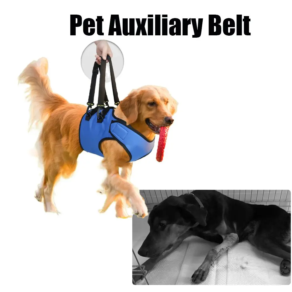 Support Front Legs Elderly Disabled Dog Pet Auxiliary Belt Dog Lifting Belt Pet Lift Support Harness Dog Walking