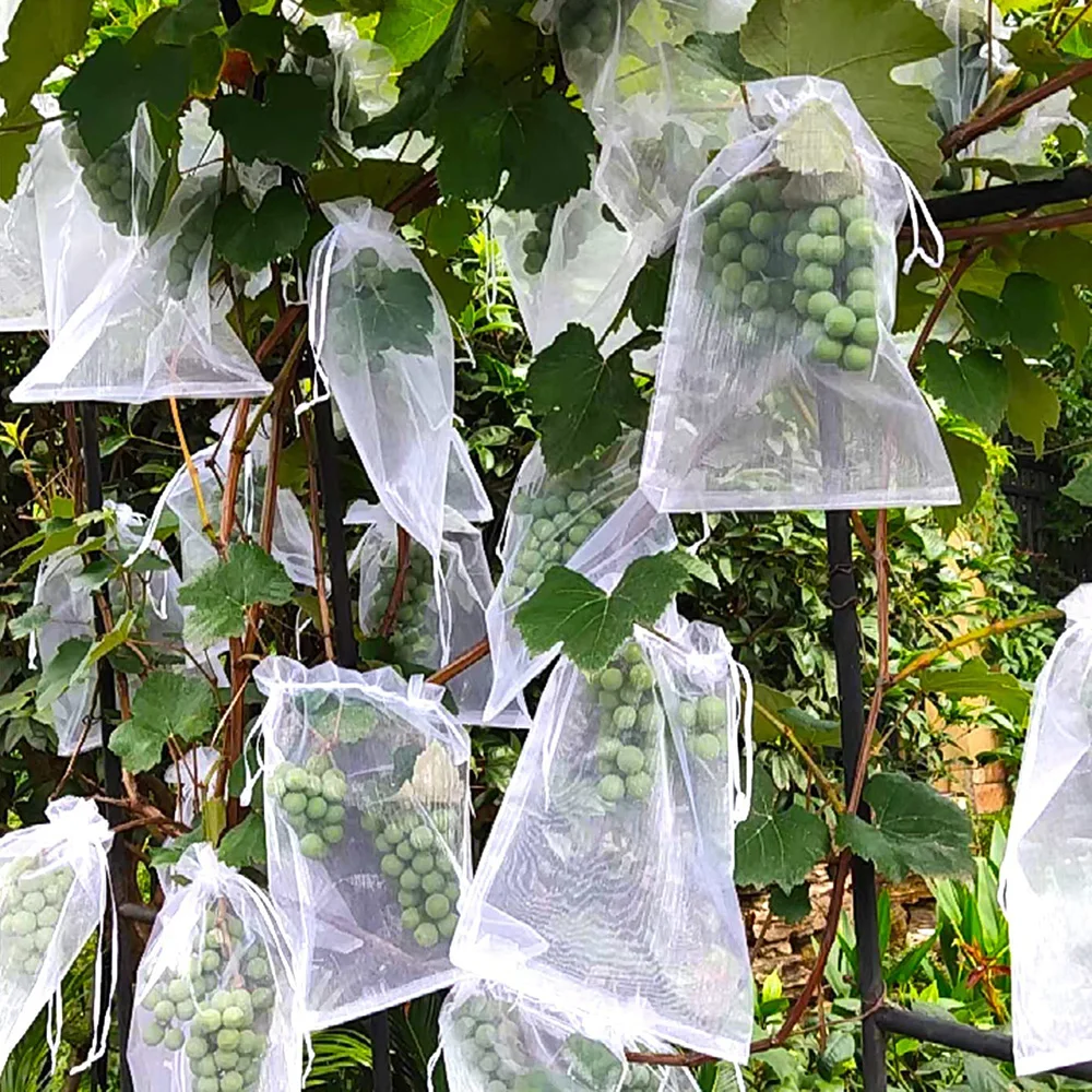 50PCS Garden Plant Nylon Insect Proof Mesh Bag Protect Fruits And Vegetables Multi-function Breathable Plants Protect Bags