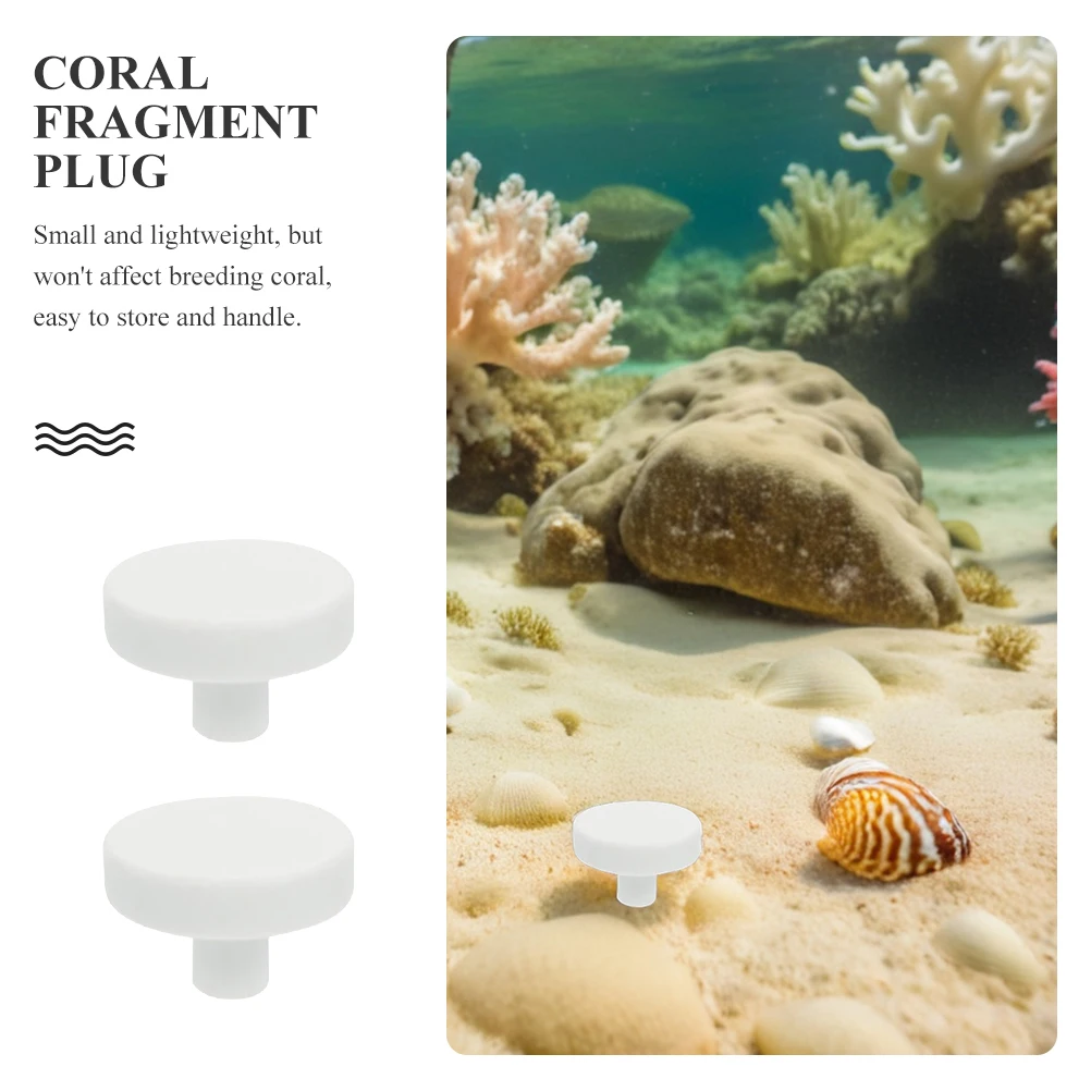 

60 Pieces Ceramic Coral Frag Plugs Coral Frag Support Rack Coral Frag Plate Base Aquarium Coral Frag Stand Frag Disks Holder