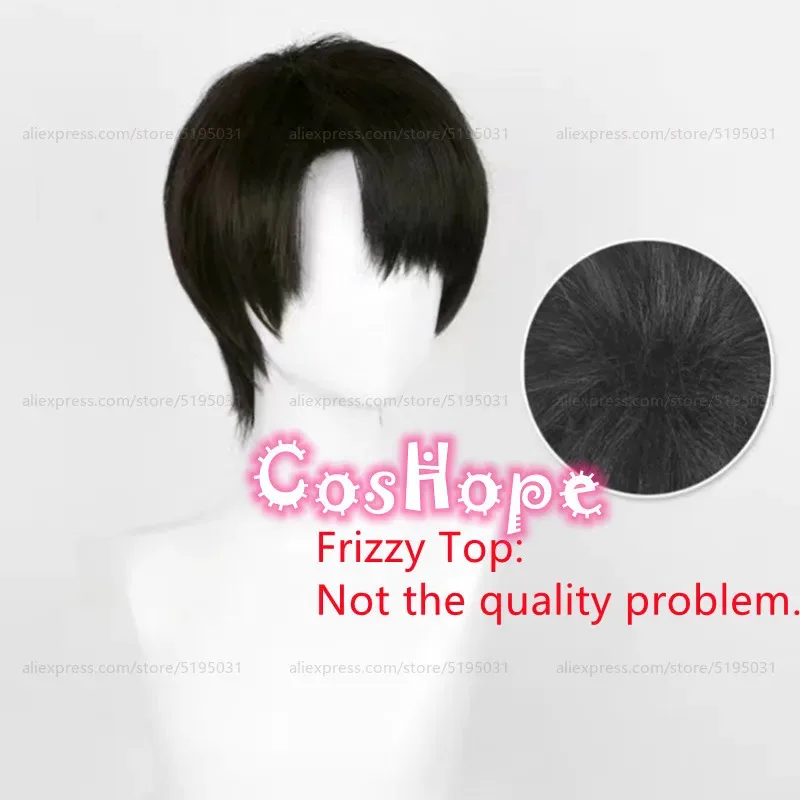 2025 Levi Ackerman Men 30cm Short Black Brown Wig Anime Cosplay Heat Resistant Synthetic Wigs Halloween