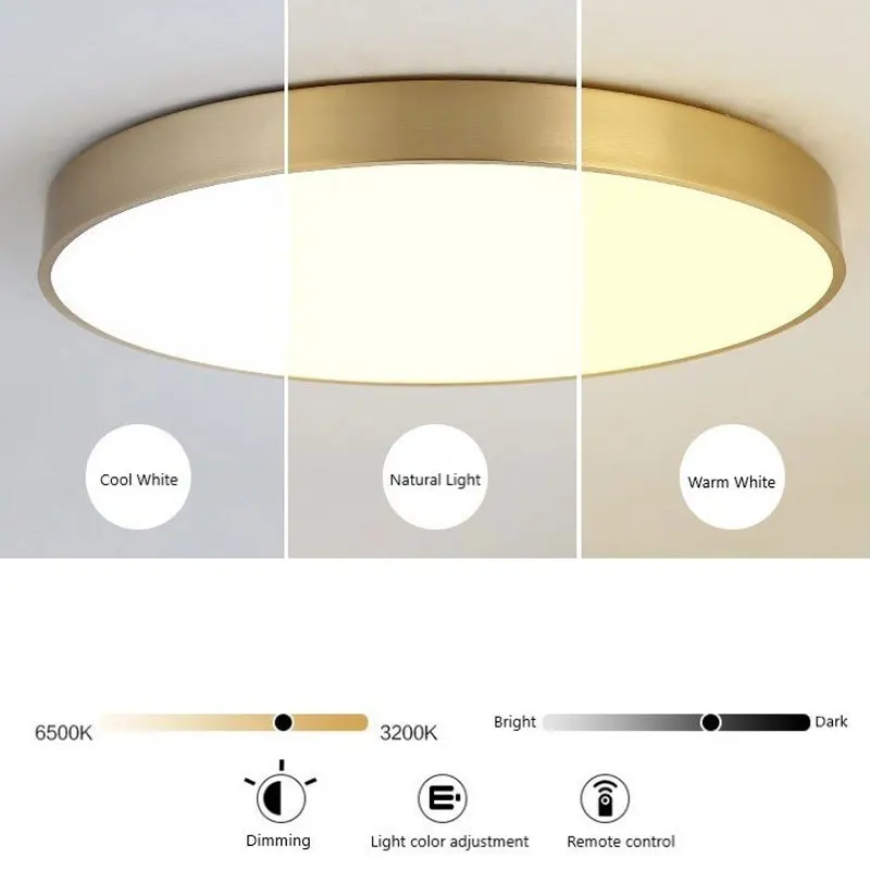 Modern LED Ceiling Light Lamp Simple Golden Round For Bedroom Corridor Garage Cloakroom Aisle Balcony Study Lighting Fixtures