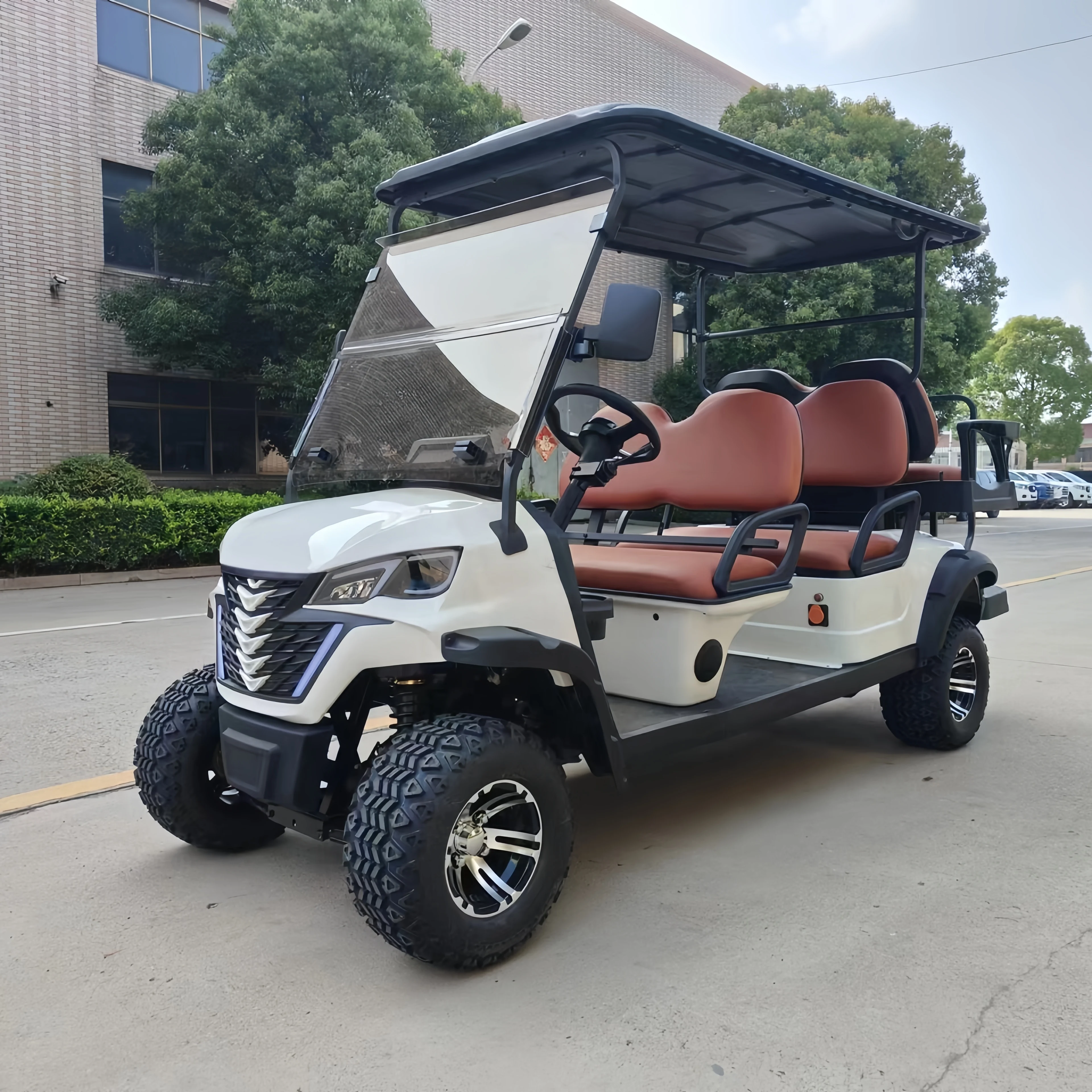 المصنع الصيني 2/4/6/8 الركاب المعادن الصلب البلاستيك نادي الصيد سيارة على الطرق الوعرة عربات الغولف الكهربائية عربات التي تجرها الدواب سيارة كهربائية صغيرة #2