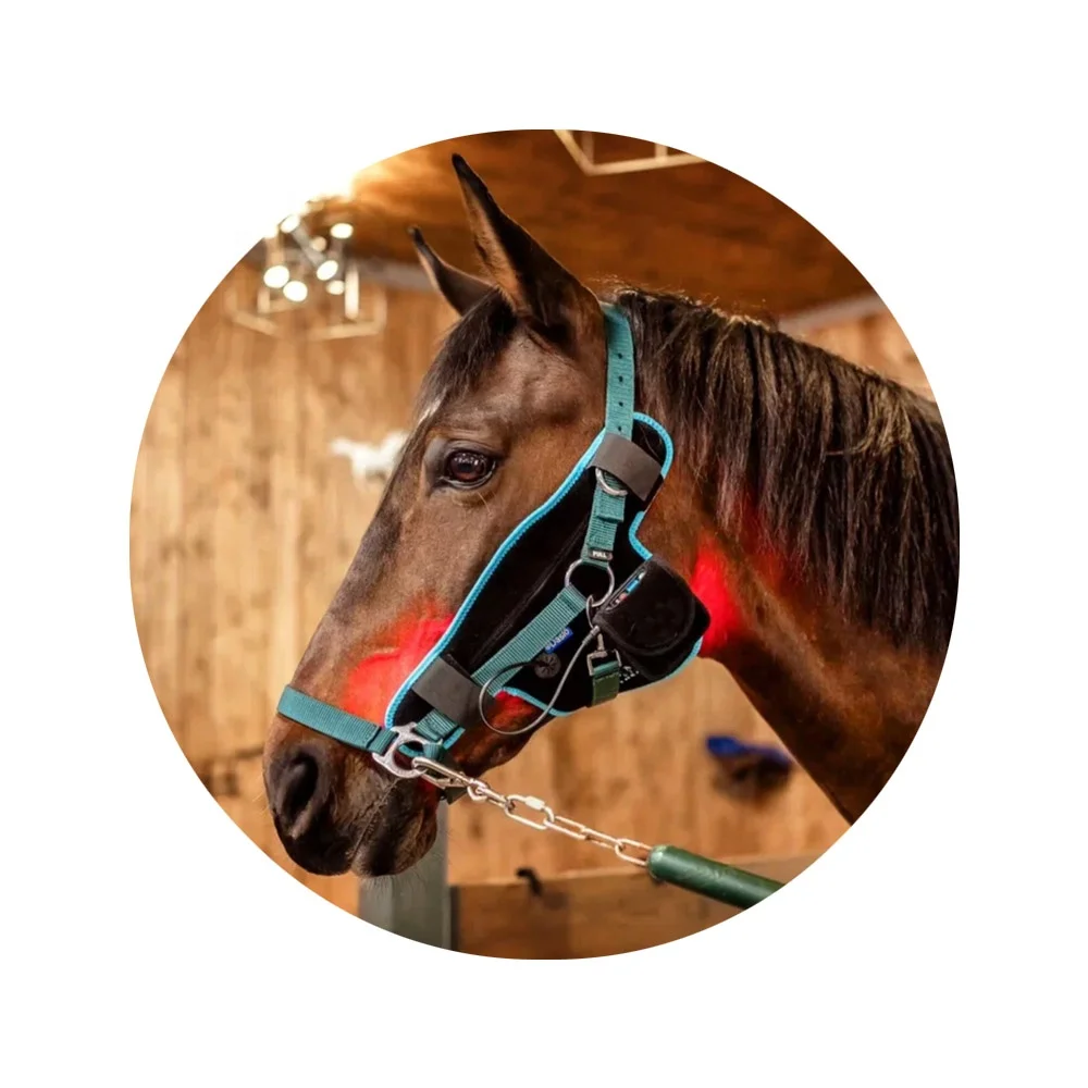 

LED Light Horse Bonnet Therapy 660nm Red Light Therapy 850nm Light For Horse Health
