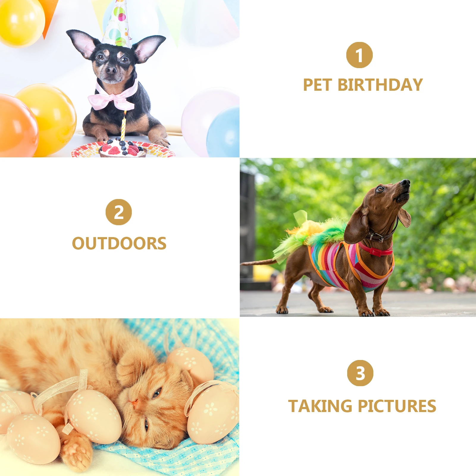 

3 Pcs Pet Straw Hat Jewelry Set for Dogs Cats Costume Hats Supplies Mini Bridegroom