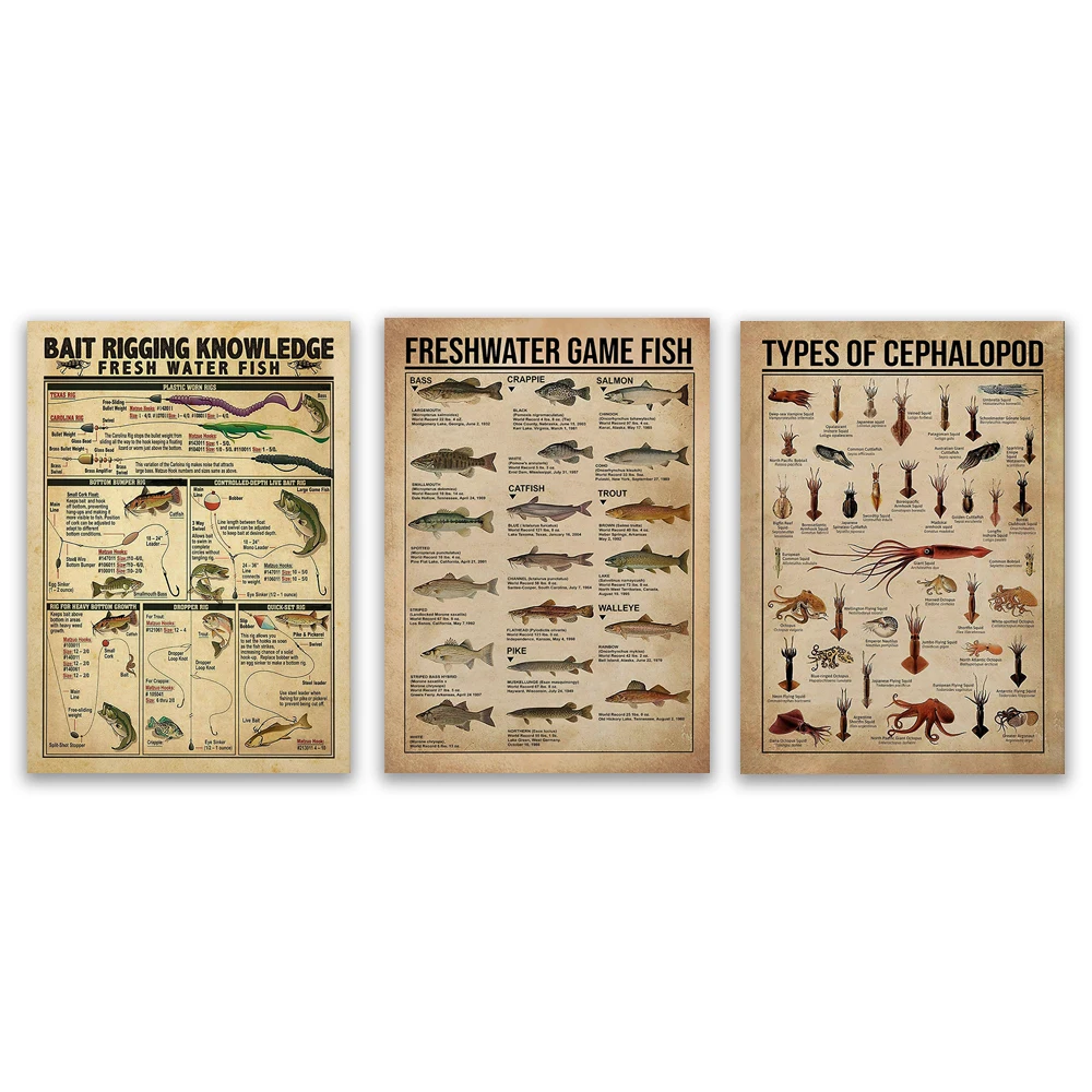 Freshwater Game Fish Bass Fishing Knowledge, Cephalopod Types, Octopus Species, Bait Rigging Knowledge Poster, Fisherman Gift