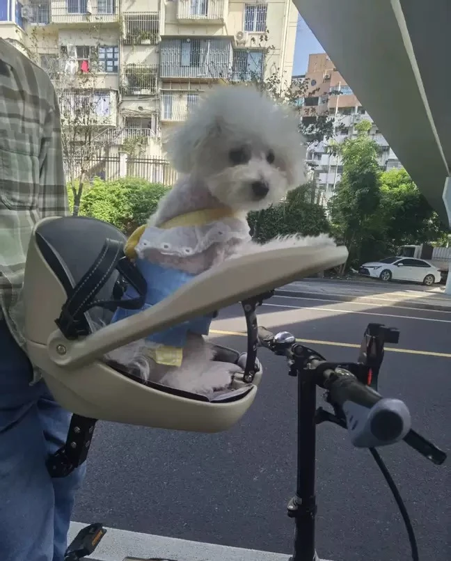 Suitable for folding bicycles, mountain bikes, cat baskets, road bikes, pet dogs, dog safety seats