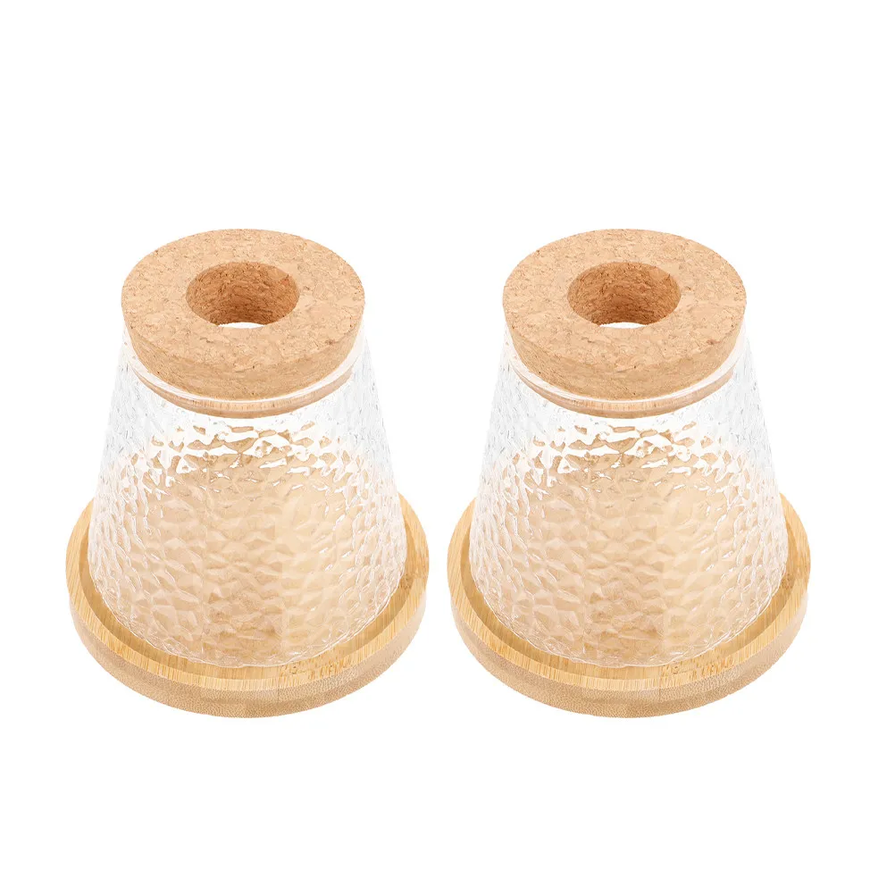 2Pcs Hydroponic Glass Plant Vases Hammered Texture Volcanic Cup Design Desktop Propagation Station Office Decor