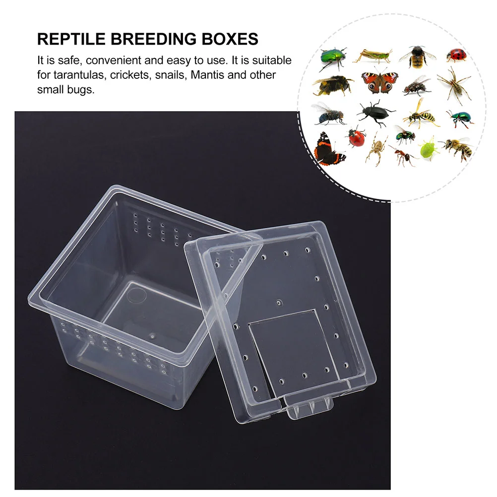 20 Pcs Pet Feeding Box Animal Multi-use Lizard Cage Small Holder Gecko Tank Container Pp Reptile Enclosure