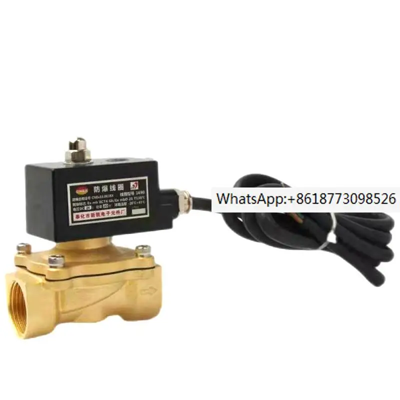 

2W series two position two way direct acting ZG thread AC220V explosion-proof gas and natural gas solenoid valve