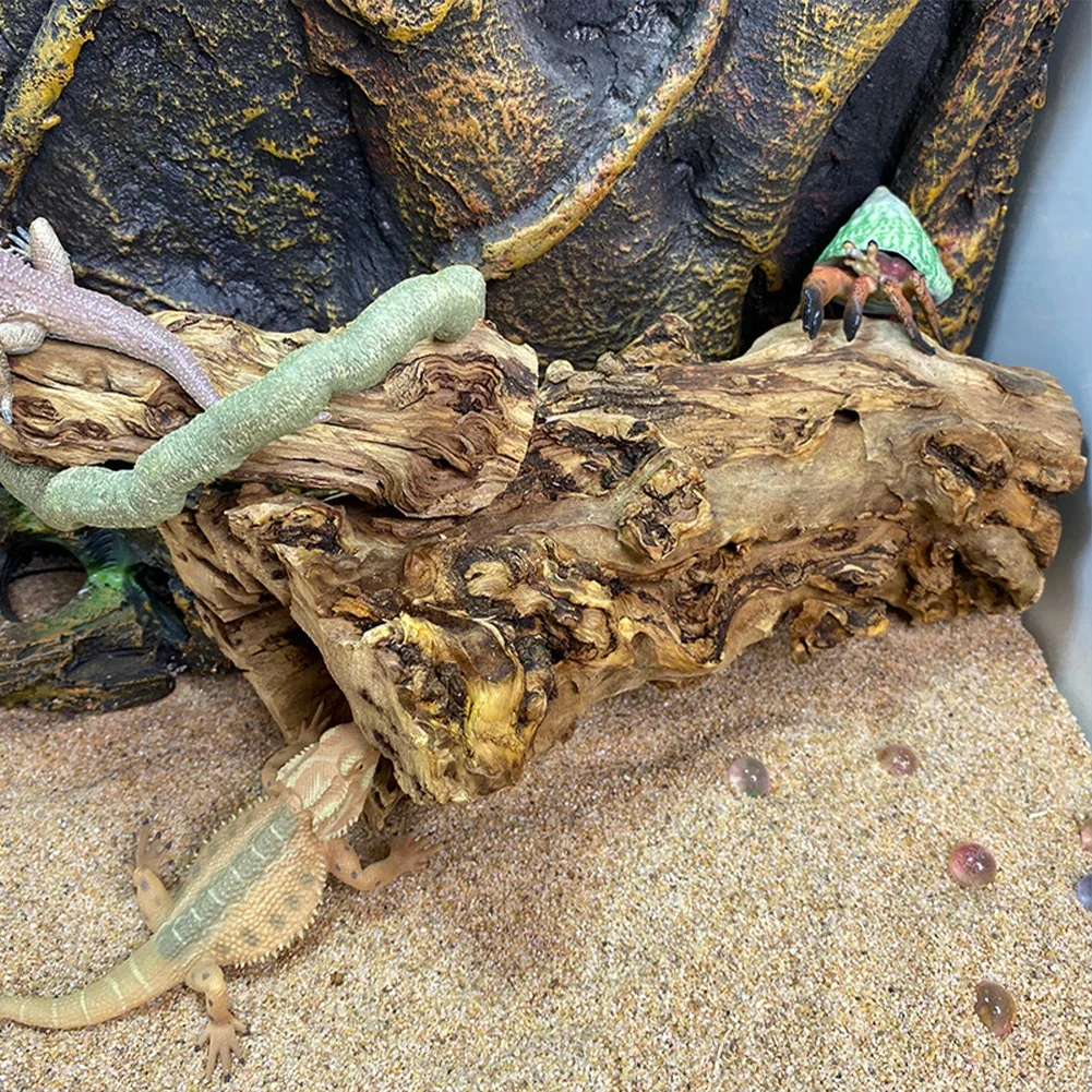 Thumbnail 3 - #17 Pet Habitat Decors List of Top Picks